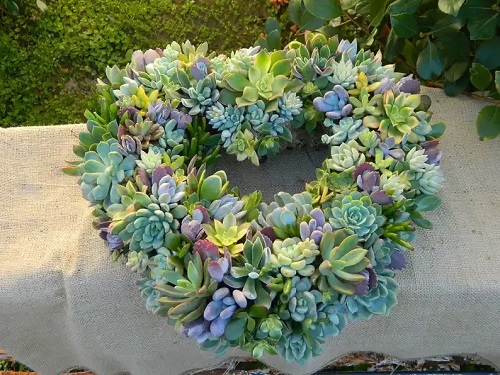 Beautiful Succulent Wreath 1