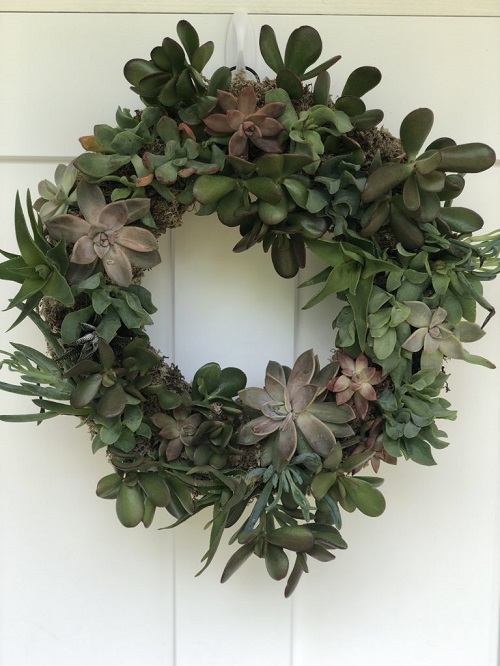 Indoor Succulent Wreath 4
