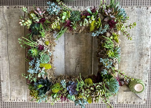 Indoor Succulent Wreath 2