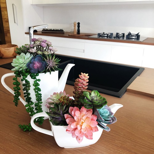 Indoor Succulent Decoration 1