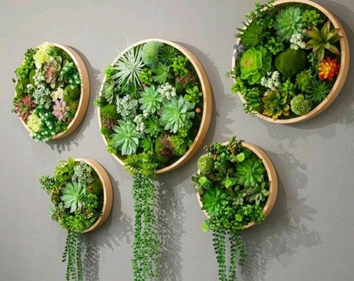 Hanging Circular Garden Idea