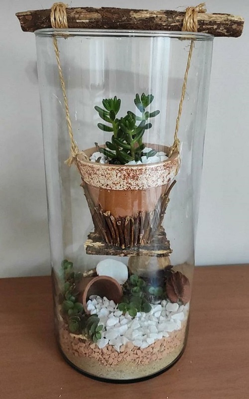 Succulents in Cylindrical Terrarium