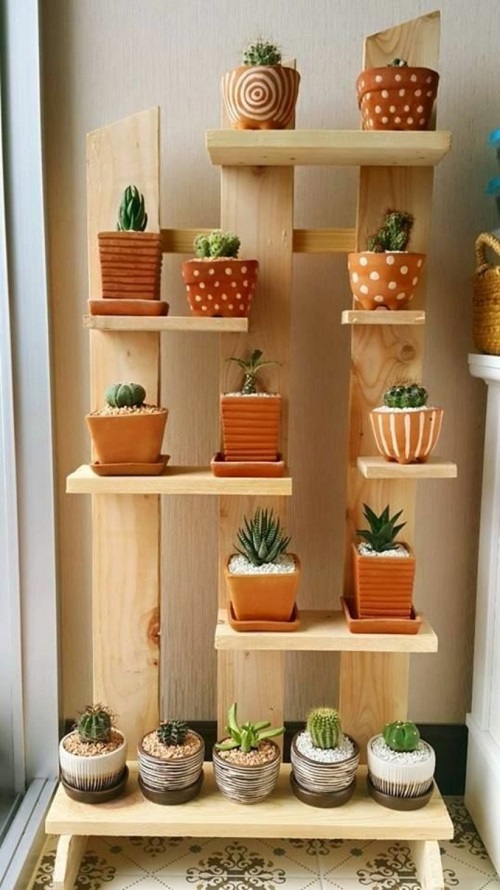 Indoor Succulent garden