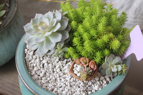 Top Dressing Ideas 
