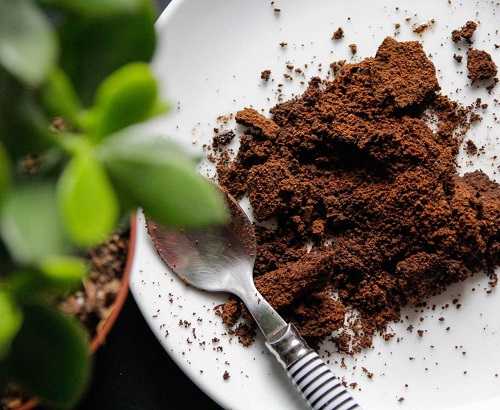 Ways to Use Coffee Grounds