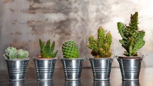 Ideas For Home decore. 1