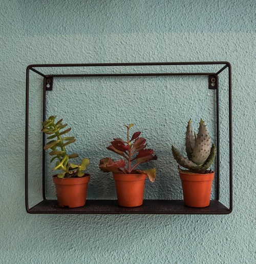 Beautiful Cactus Decor Ideas 2