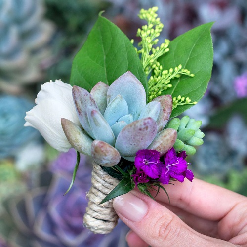 Succulent Boutonniere Ideas
