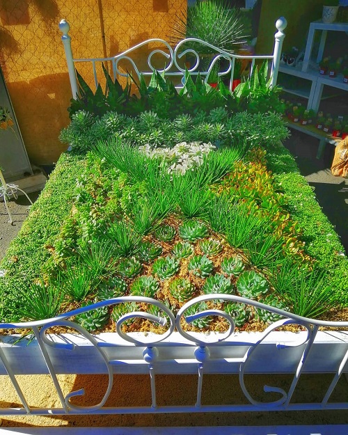 Best Succulent garden bed ideas 3