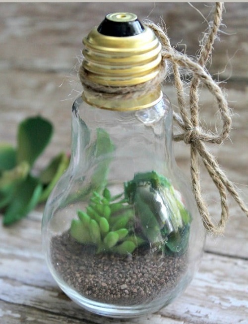 Succulent Light Bulb Planter 