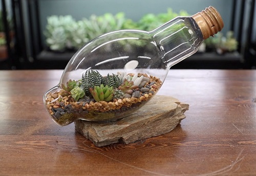 Succulent Light Bulb Planter 2