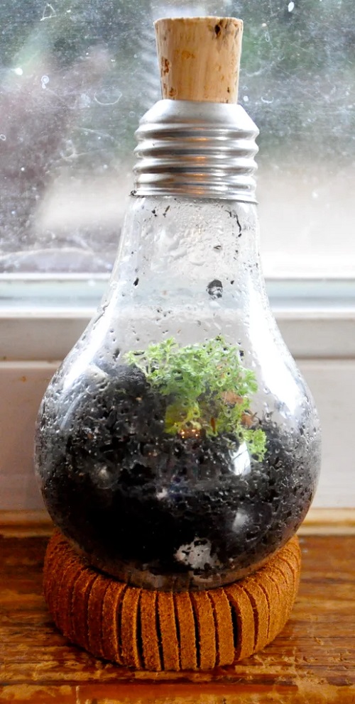 Succulent Light Bulb Planter 3