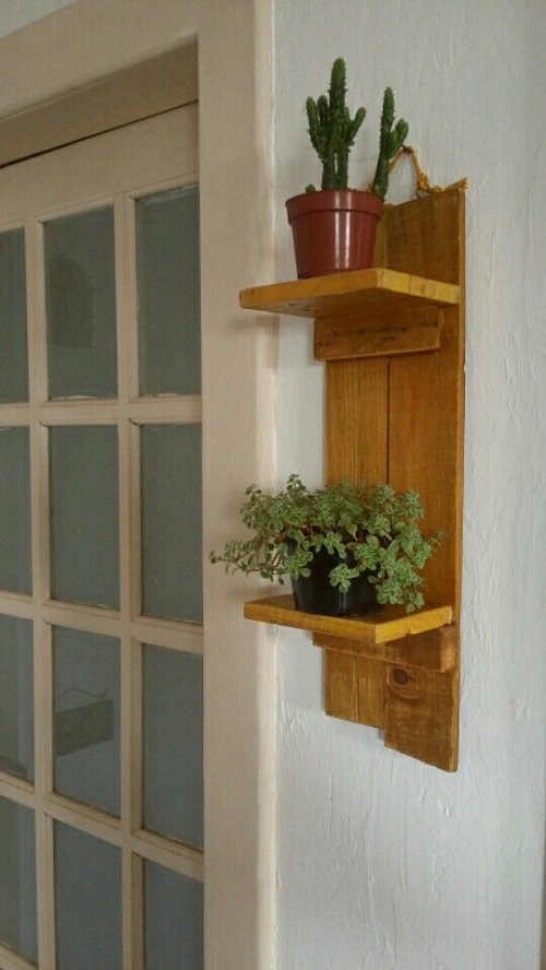 floating succulent shelves easy to make