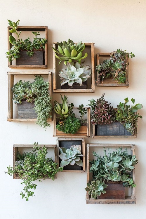 easy to make DIY Floating Succulent Shelves