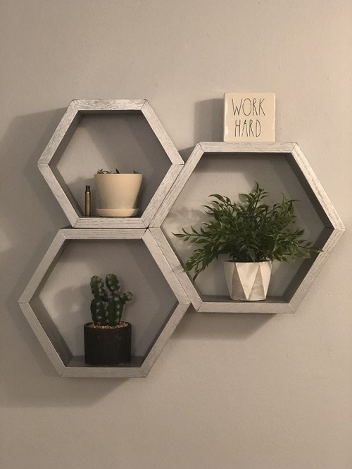 hexagonal floating succulent plant shelves