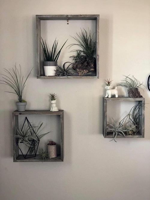 easy DIY Floating Succulent Shelves