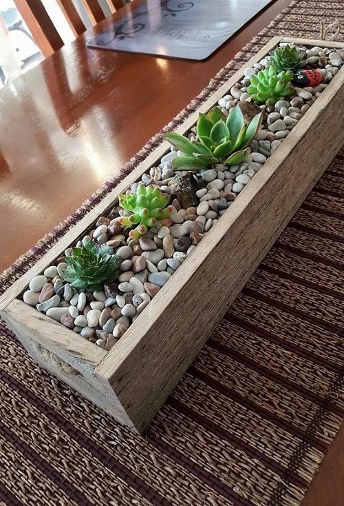 Top Succulent arrangement ideas 5