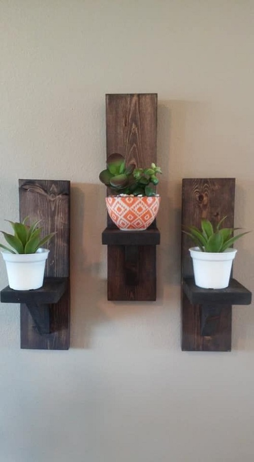 Beautiful Succulent Arrangements 1