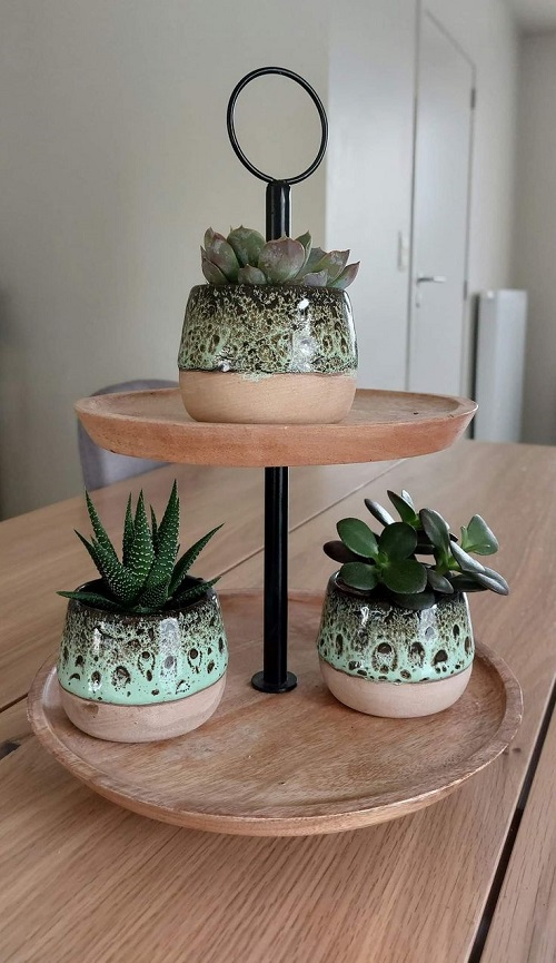 Succulent arrangement ideas 3