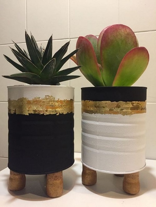 Top Succulent planters ideas 1