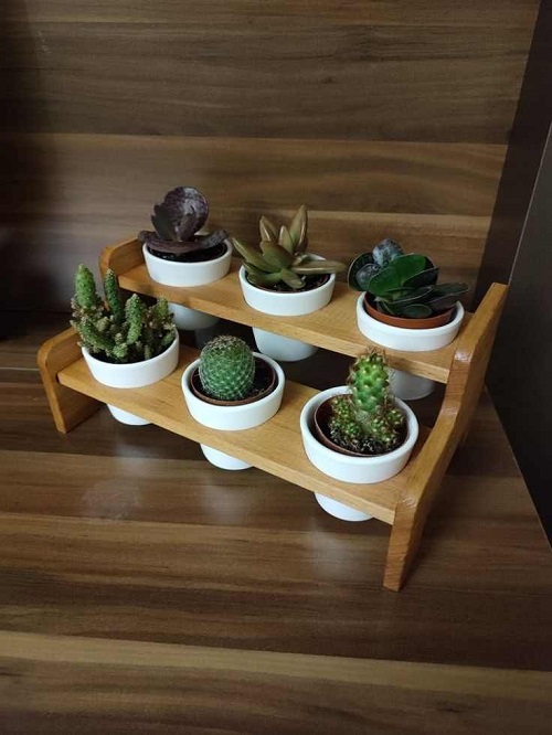 Top Succulent planters ideas 3