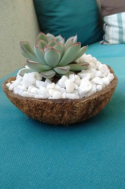 Top Succulent planters ideas 5