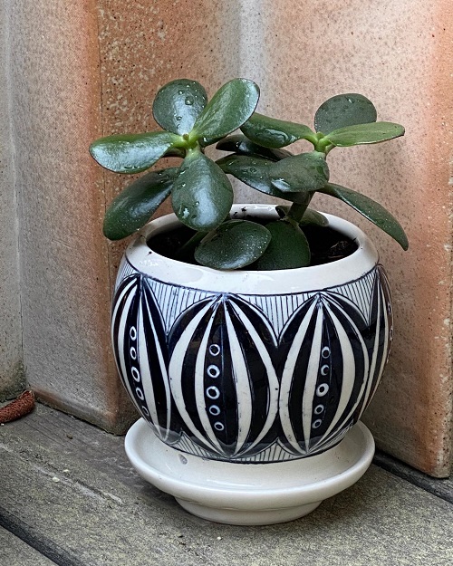 New Succulent planters ideas 2