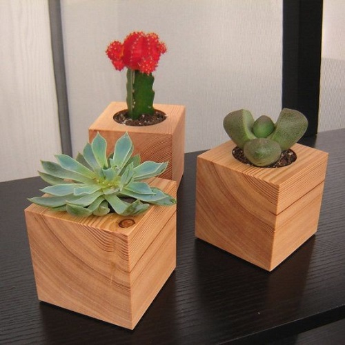 New Succulent planters ideas 5