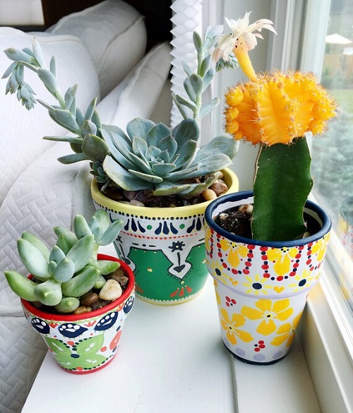 Inspiring Succulent planters ideas 3