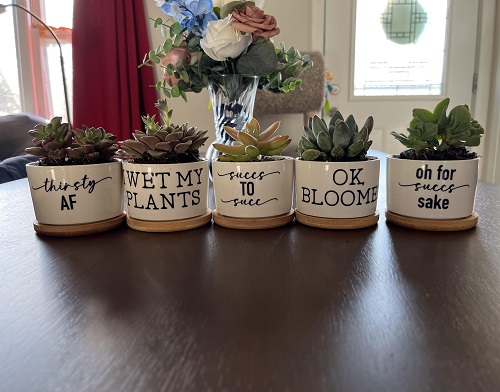 Inspiring Succulent planters ideas 4