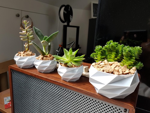 Trending succulent planters idea 4
