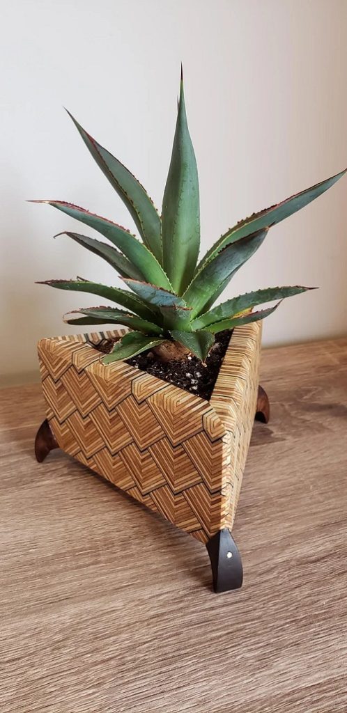 Trending succulent planters idea 3
