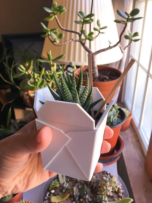 Best Succulent planters ideas 2