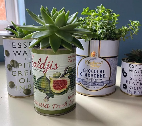 Best Succulent planters ideas 3