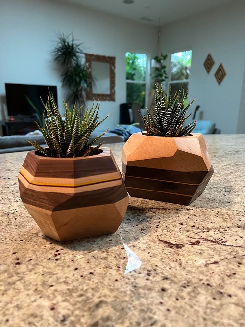 Top Succulent planters ideas 2