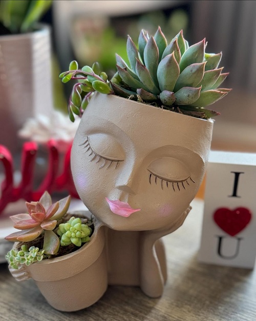 New Succulent planters ideas 1