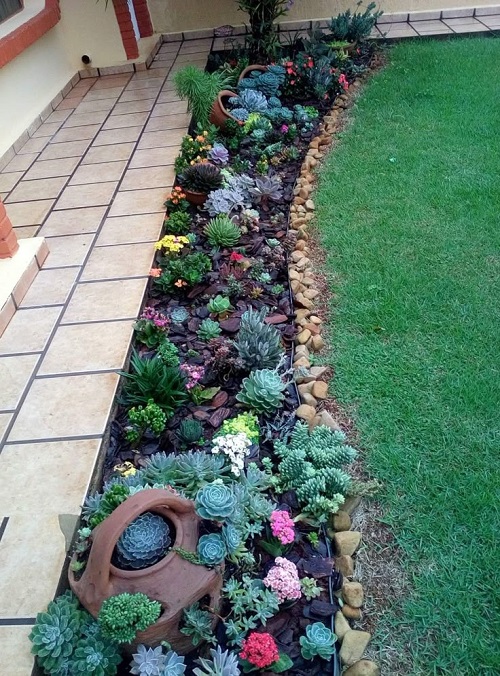New Succulent garden bed ideas 5