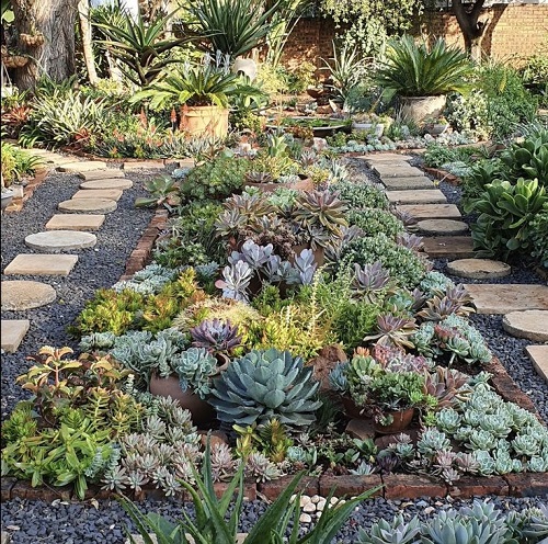 Top Succulent garden bed ideas 5