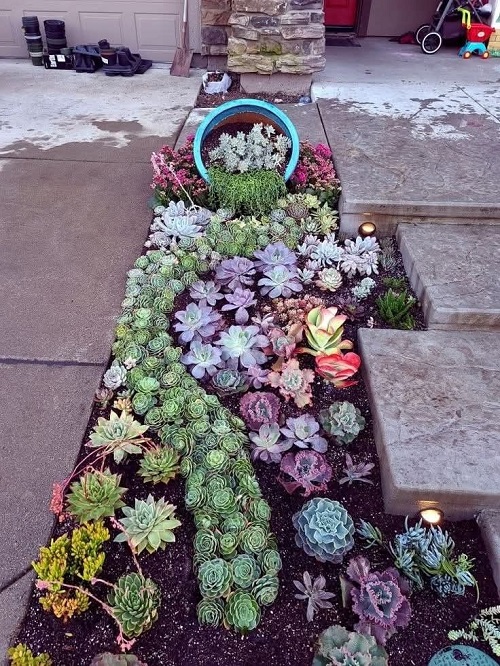 Succulent garden bed ideas 2