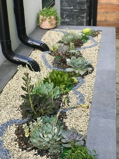 Succulent garden bed ideas 3