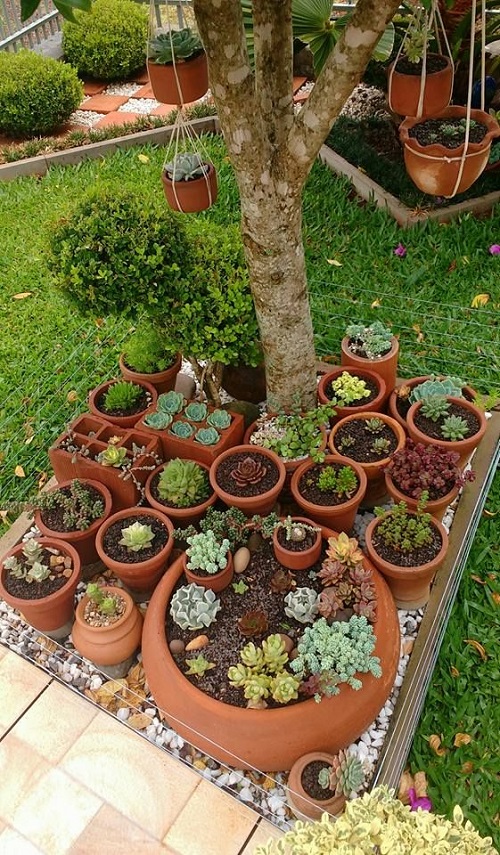 Succulent garden bed ideas 4