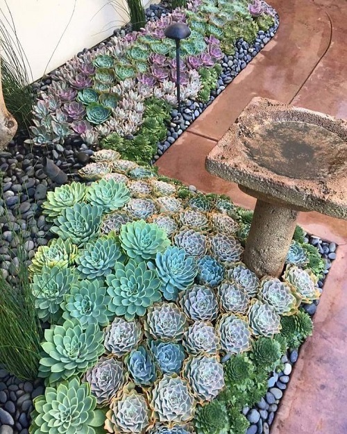 New Succulent garden bed ideas 2