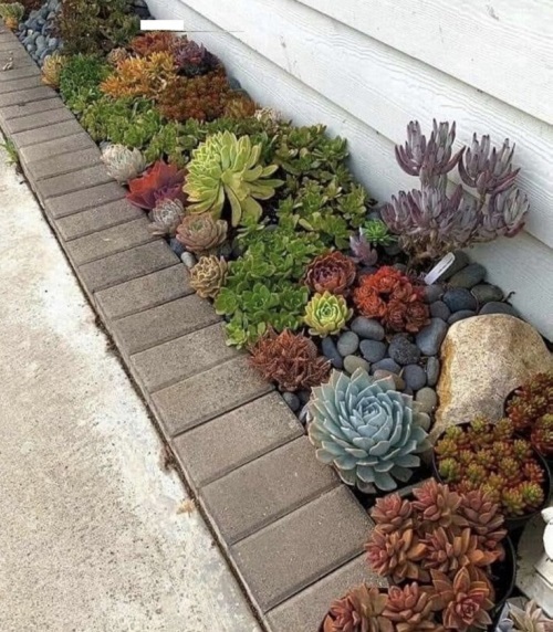 New Succulent garden bed ideas 6