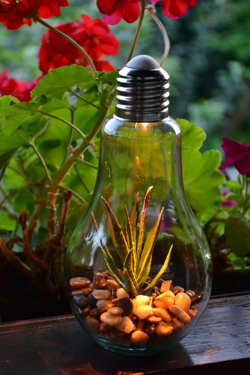 Succulent Light Bulb Planter 9