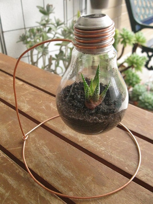Succulent Light Bulb Planter 4