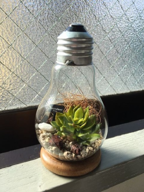 Succulent Light Bulb Planter 5