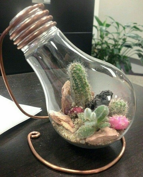 Succulent Light Bulb Planter 6
