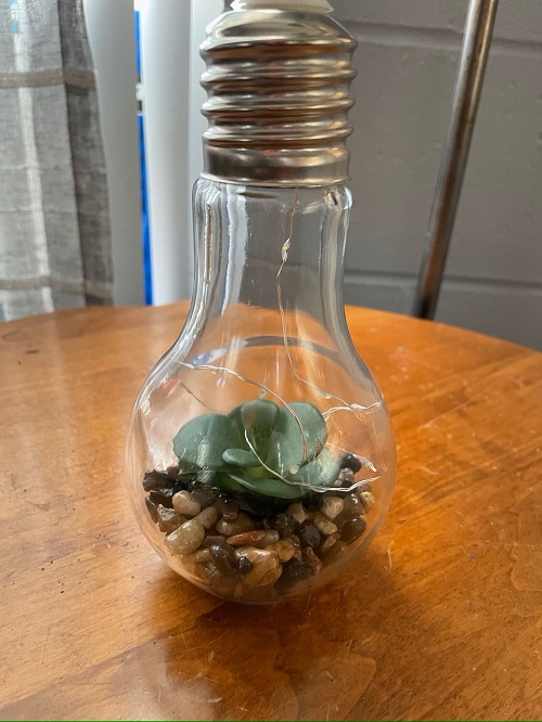 Succulent Light Bulb Planter 10