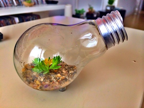 Succulent Light Bulb Planter 7