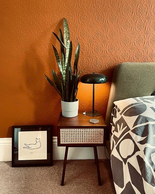 Snake Plants in Bedrooms 4